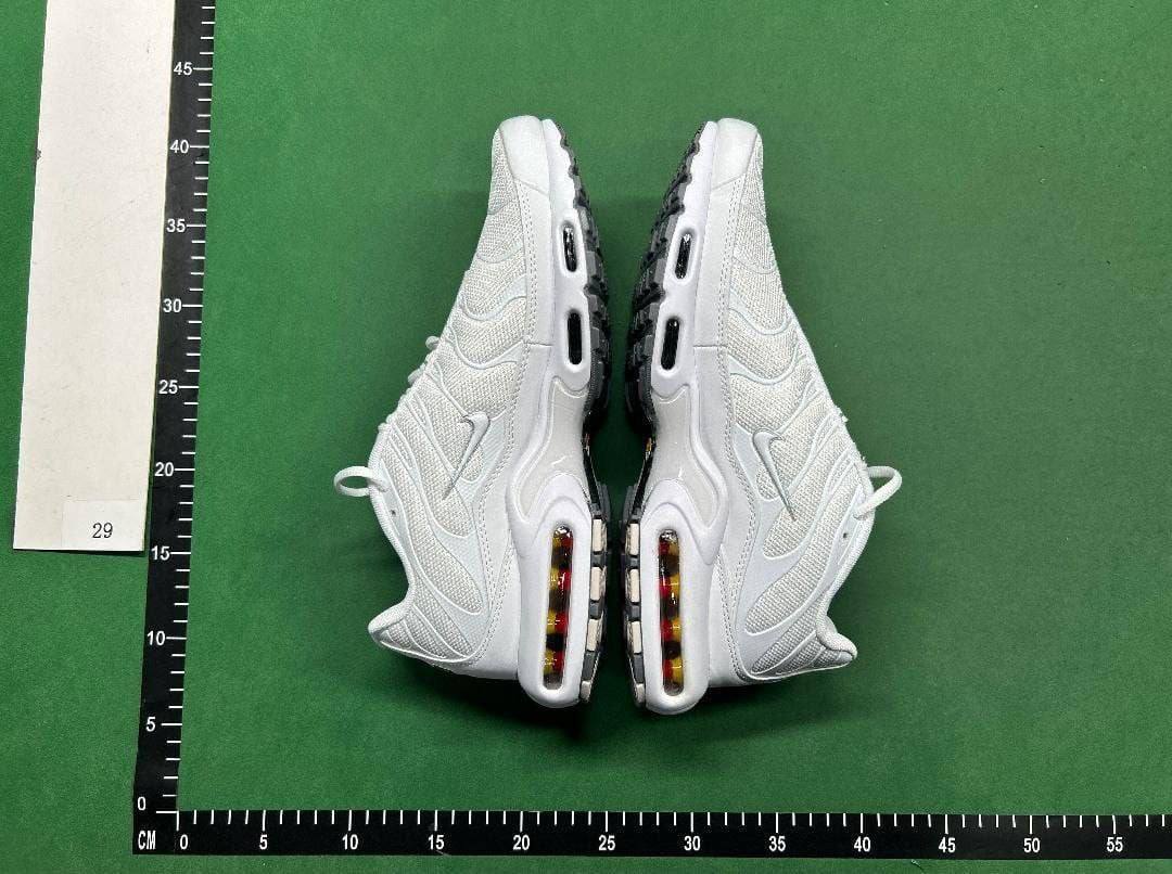  TN  Batch  NIKE Air Max Plus -6